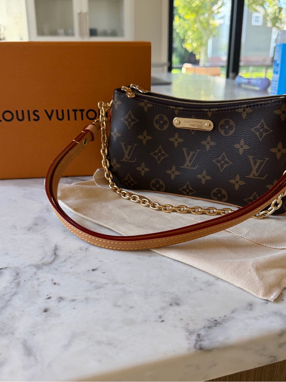 Louis Vuitton Pochette Liv - Never Worn